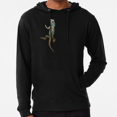 Valorant Gekko Hoodie Official Valorant Merch